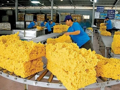 Giá cao su hôm nay 4/11/2025: Giá cao su trên các sàn giao dịch chủ chốt châu Á đồng loạt giảm