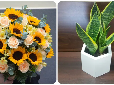 Gợi ý cách chọn quà tặng thầy cô giáo ý nghĩa ngày 20/11