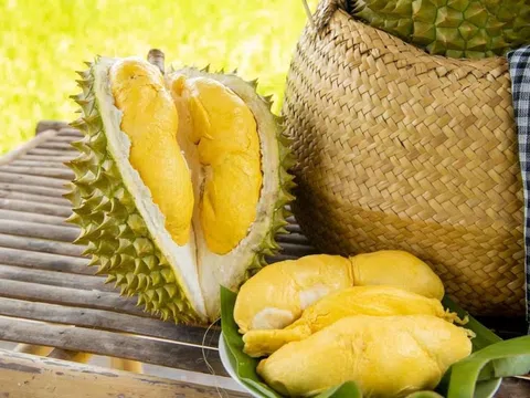 Giá sầu riêng hôm nay 1/12/2025: Thị trường ổn định