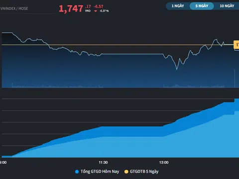 Thị trường đứt chuỗi 9 phiên tăng điểm