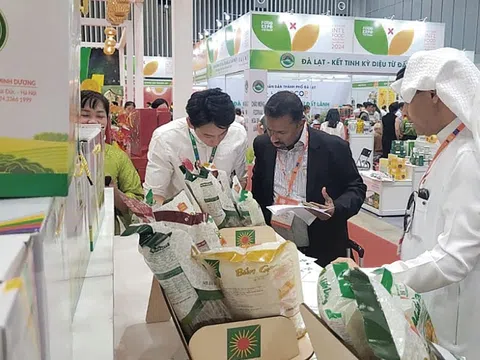 Khánh Hòa, Đà Nẵng thúc đẩy hợp tác đầu tư với doanh nghiệp thị trường Halal