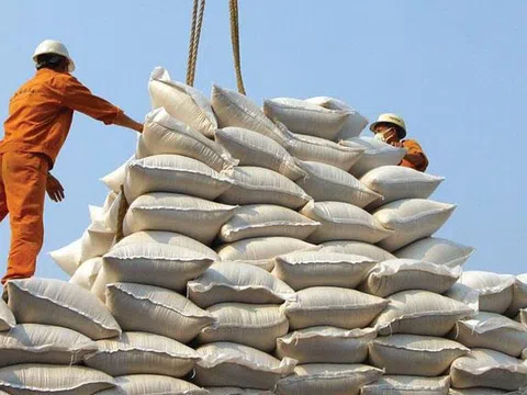 Giá gạo Việt Nam xuất khẩu đi ngang do nhu cầu yếu