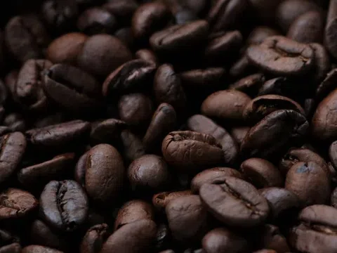 Giá cà phê hôm nay 21/12/2025: Duy trì ổn định sau đợt điều chỉnh giảm mạnh