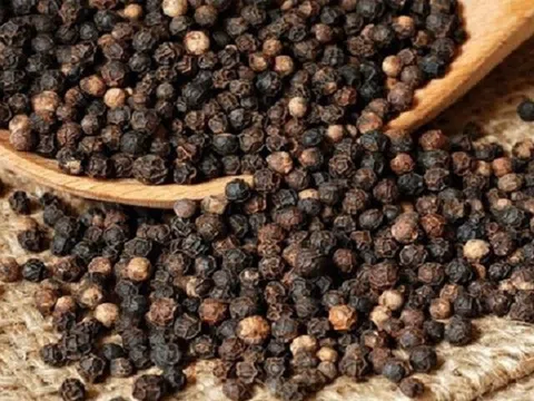 Giá tiêu hôm nay 21/12/2025: Thị trường trong nước tăng đồng loạt, thế giới giữ ổn định