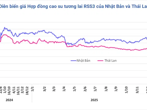 Giá cao su hôm nay 31/12/2025: Lạc quan hơn nhờ nhu cầu hạ nguồn mạnh mẽ