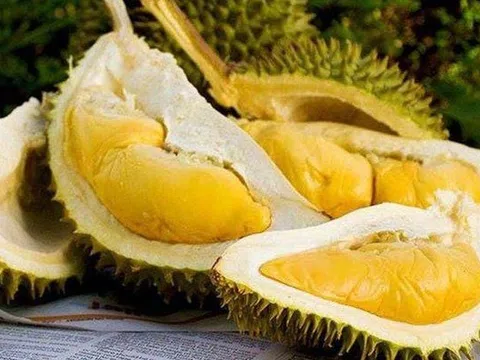 Giá sầu riêng hôm nay 3/1/2025: Ri6 tăng