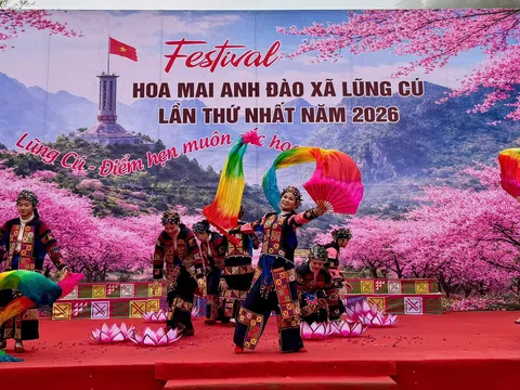 Lũng Cú khai mở Festival Hoa mai anh đào 2026: Động lực mới cho kinh tế du lịch xanh nơi cực Bắc