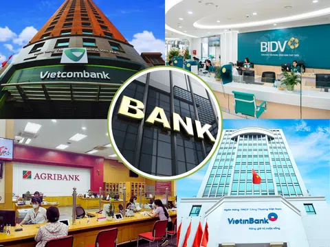 Loạt ngân hàng báo lãi “khủng” năm 2025