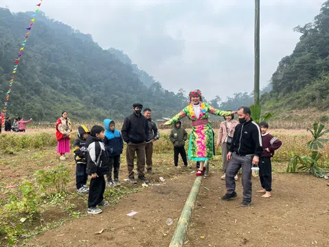 Hoa Tam giác mạch “đánh thức” du lịch xanh Yên Cường