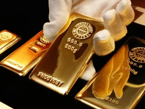Giá vàng hôm nay 17/1/2026: Vàng miếng, vàng nhẫn trong nước và vàng thế giới