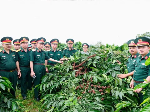 Binh đoàn 16 chú trọng an sinh xã hội gắn với phát triển nông nghiệp