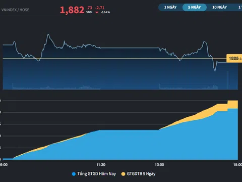 Dòng tiền có dấu hiệu chuyển hướng về nhóm Midcap và Penny