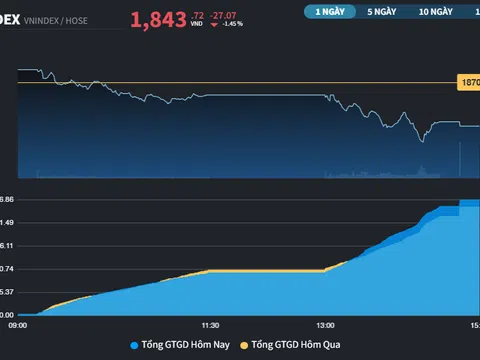 Nhóm Midcap và Penny vận động kém tích cực
