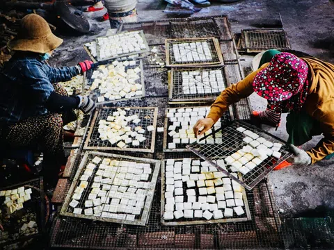 Giữ hồn Tết trong lửa nghề: Khi đặc sản OCOP Đà Nẵng bước vào mùa xuân