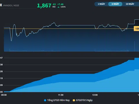 Dầu khí và Phân bón nổi bật nhất thị trường