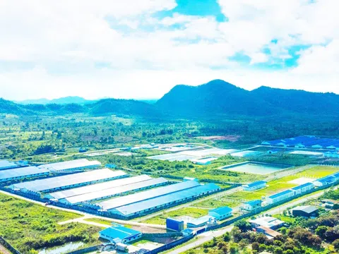 Đắk Lắk đưa ứng dụng công nghệ vào chăn nuôi