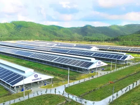 Chuỗi cung ứng thực phẩm xanh: Cơ sở cho phát triển bền vững