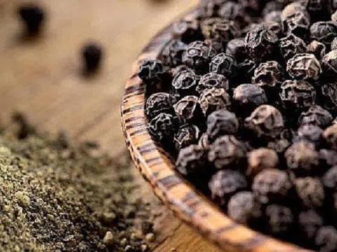 Giá tiêu hôm nay 10/3/2026: Thị trường ổn định