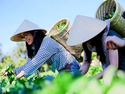 Du lịch gắn với nông nghiệp xanh - Hướng bền vững cho nông thôn và phát triển kinh tế địa phương