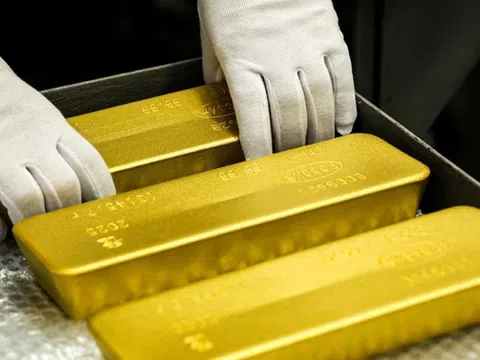 Giá vàng hôm nay 10/3/2026: Đồng loạt giảm mạnh