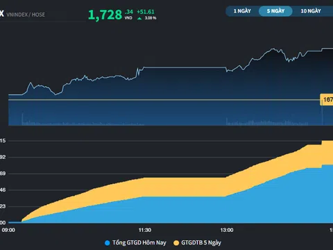 Nhóm Midcap và Penny hồi phục tích cực