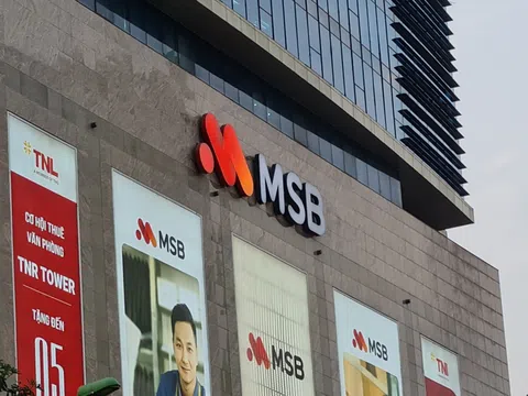 Rox Living muốn bán toàn bộ hơn 31 triệu cổ phiếu MSB