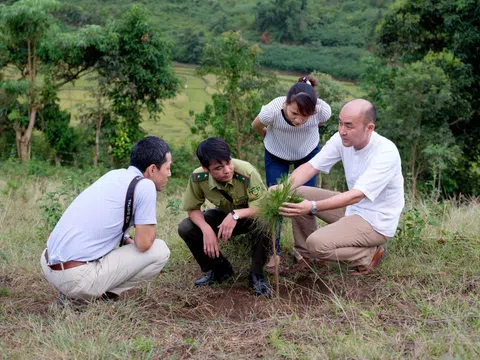 Việt Nam nhận 71,96 triệu USD từ nỗ lực giảm phát thải