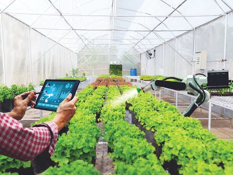 Đột phá tư duy kinh tế nông nghiệp: Cú hích từ Chương trình hành động mới của Chính phủ