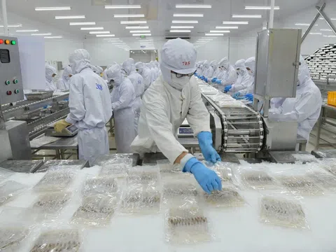 Vietnam Aquatech Fair 2026 - Từ con giống đến chế biến: Chuỗi giá trị ngành thủy sản hội tụ