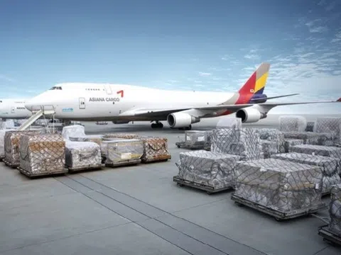 Cần thiết lập hãng hàng không chuyên chở hàng hóa