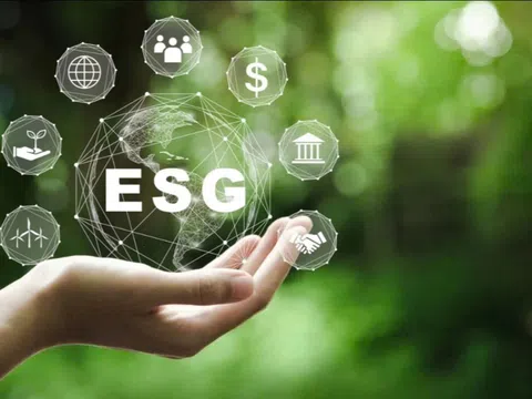 Tích hợp ESG và công nghệ số - Hành trình kiến tạo doanh nghiệp xanh tại TP.HCM