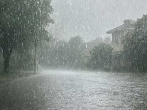 Vĩnh Long cảnh báo dông lốc, sét và mưa lớn cục bộ ngày 23/8/2025