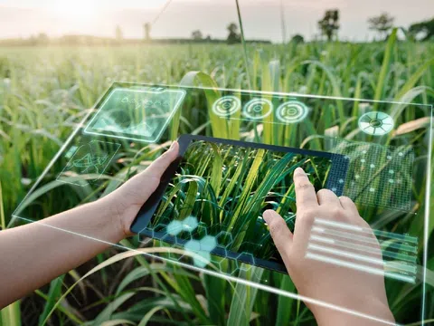 Vĩnh Long ra mắt Trung tâm Chuyển đổi số, thúc đẩy nông nghiệp thông minh