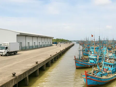 Vĩnh Long thành lập Ban Quản lý Cảng cá, quản lý thủy sản bền vững