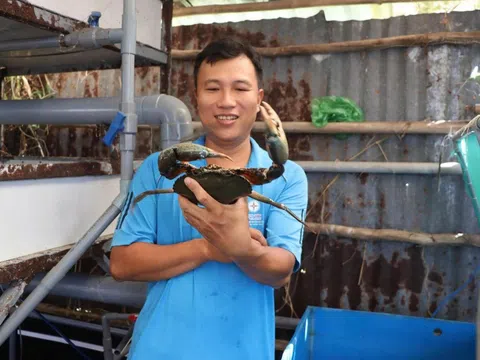 Tiến sĩ Nguyễn Việt Bắc đánh thức tri thức cho nghề nuôi cua biển Cà Mau