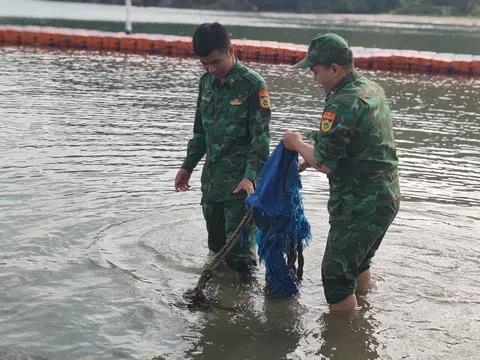 Sôi nổi ra quân hưởng ứng ngày “Chủ nhật xanh”