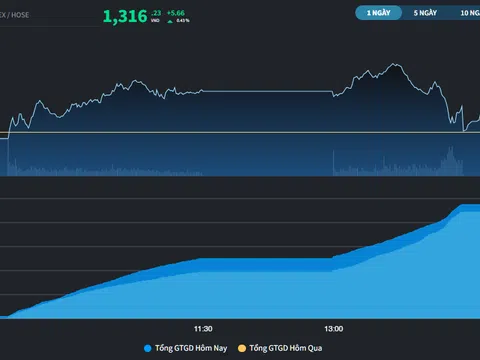Khối ngoại tái xuất, thị trường đón sắc xanh