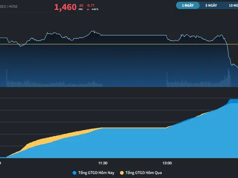 Chuỗi 7 phiên tăng điểm dừng lại trước kỳ công bố CPI của Mỹ