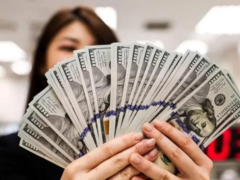 Tỷ giá USD/VND tạm ngưng đà tăng