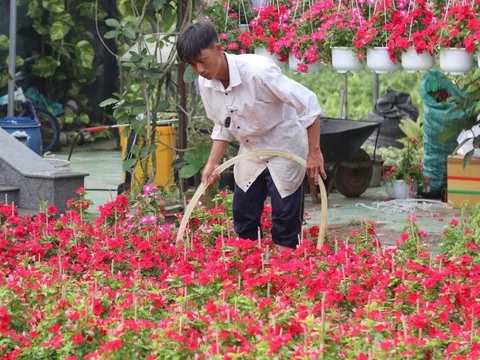 "Vương quốc hoa kiểng" tất bật chờ bung hàng vụ Tết