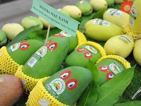 ‘Đón sóng’ hợp tác nông sản Việt kỳ vọng tăng tốc xuất khẩu thị trường Mỹ