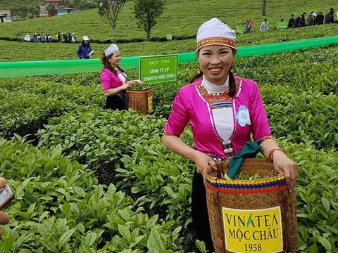 Kỳ tích trong nông nghiệp dấu ấn tăng trưởng xanh