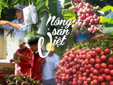Tăng cường hợp tác rộng đường cho nông sản Việt chinh phục thị trường châu Âu