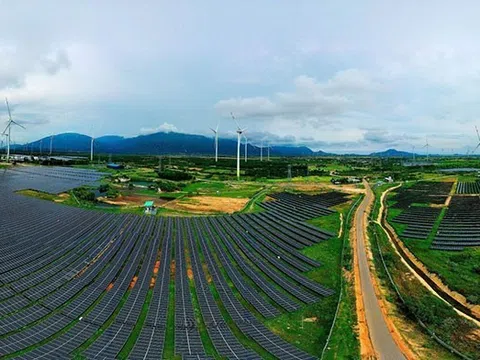 Tăng trưởng xanh và liên kết chuỗi tạo nền tảng bền vững cho doanh nghiệp