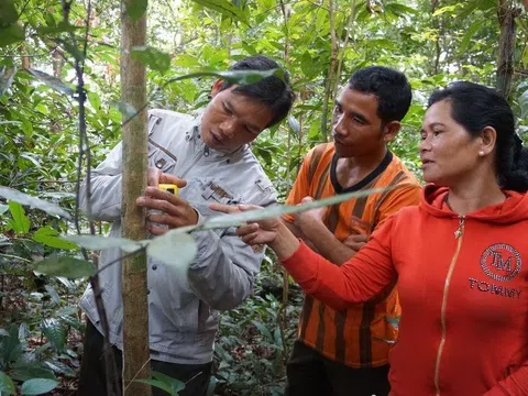 Bộ Nông nghiệp đề nghị JICA quan tâm, hỗ trợ việc chi trả quản lý rừng và giảm phát thải carbon