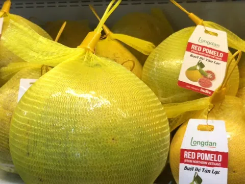 Những trái cây đặc sản có cơ hội tăng trưởng xuất khẩu tại thị trường Anh