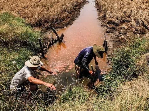 Tập trung ứng phó đợt xâm nhập mặn cao điểm tại Đồng bằng sông Cửu Long