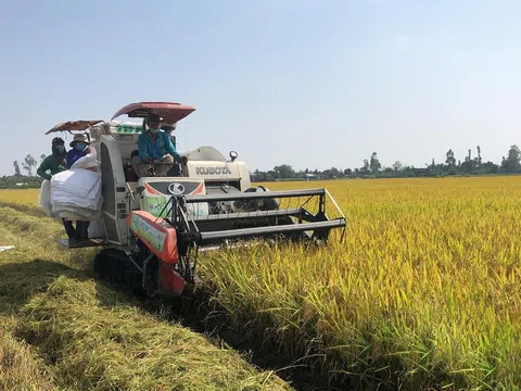 Tập đoàn 'khổng lồ' về sản xuất, phân phối gạo cam kết mở rộng đầu tư tại Việt Nam