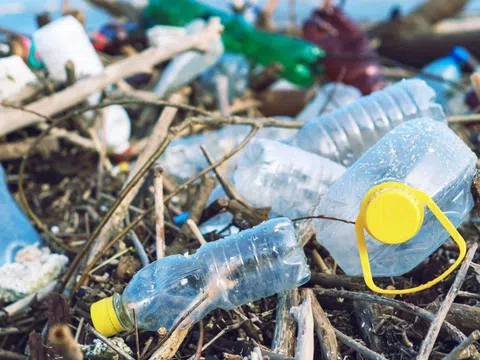 Việt Nam mỗi năm lãng phí 3 tỷ USD vì không tái chế hết rác thải nhựa