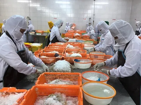 Nhật Bản hợp tác với Việt Nam về gia công chế biến thủy sản chất lượng cao